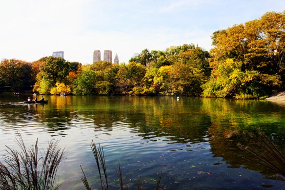 Central Park