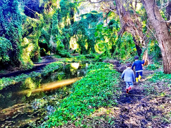 my two boys adventuring