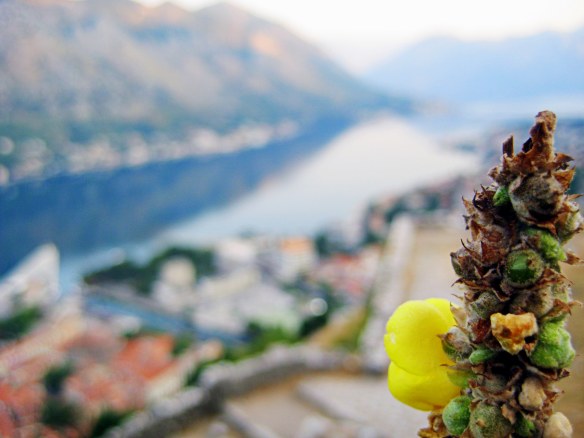 Montenegro by @debsnet