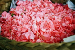 basket of petals, Bali, by @debsnet