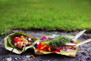 offerings, Bali, by @debsnet
