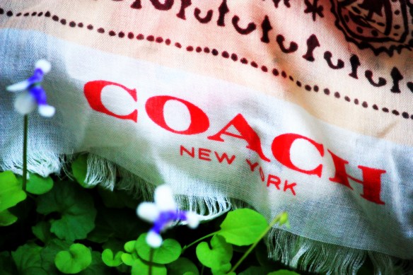 Can anyone be a coach?