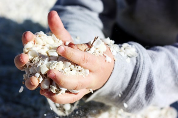 Shell Beach, by @debsnet