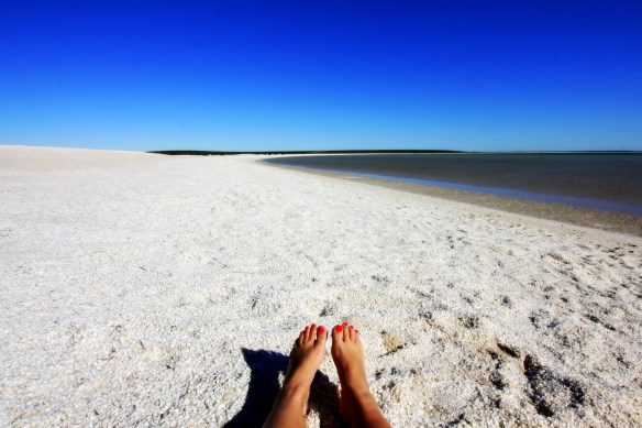 Shell Beach, by @debsnet