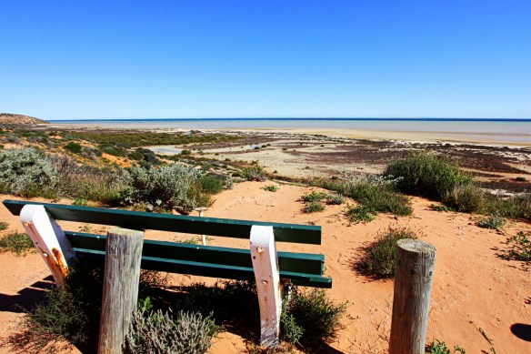 Shark Bay, by @debsnet