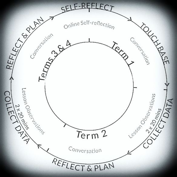 a visual look at our coaching-observation cycle