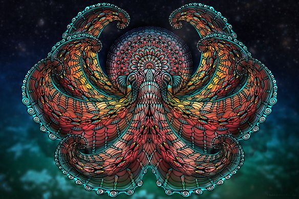 beautiful illustration of Pacific Giant Octopus by Sandy Pell @SandyCanvas Retrieved http://pellvetica.com/west-coast-wildlife-illustrations/