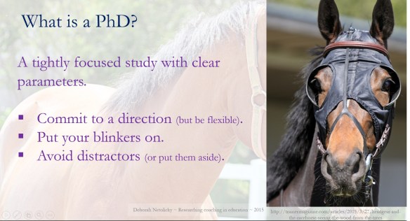 Put your PhD blinkers on