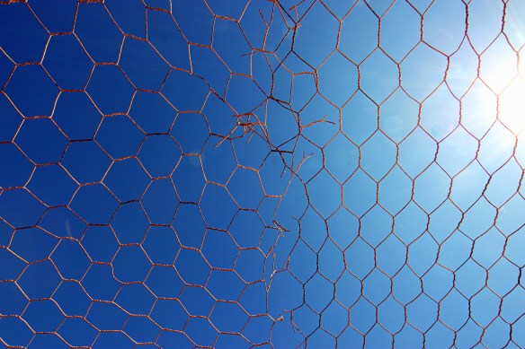 imperfect or interesting? wire at Shark Bay