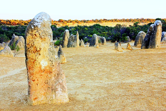 irregular or extraordinary? Pinnacles at dawn