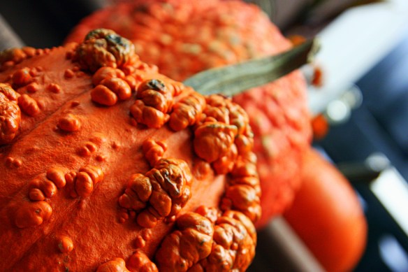 misshapen or unique? NY Halloween pumpkin