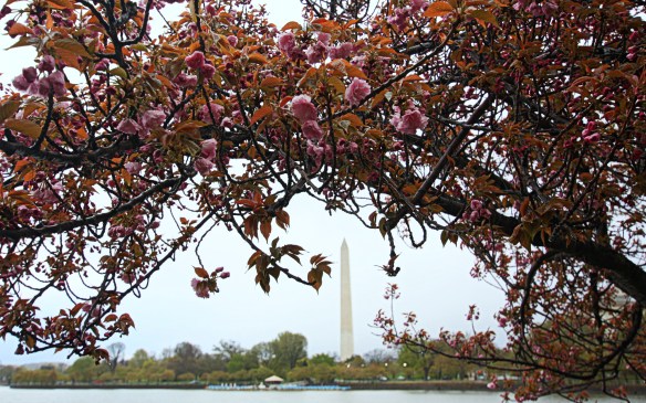 by Deborah Netolicky