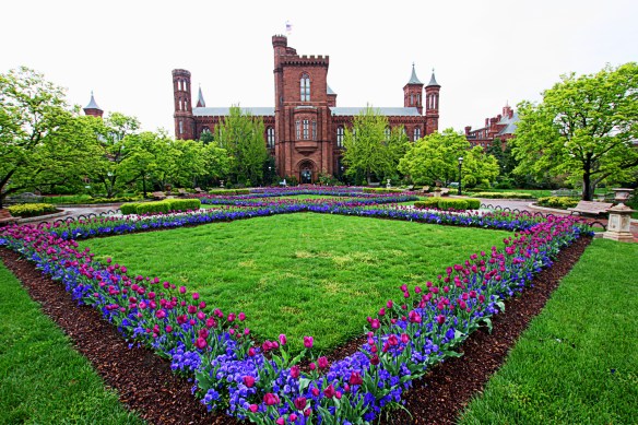 by Deborah Netolicky