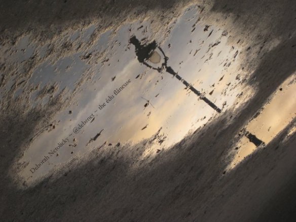 2008 Paris puddle, Jardin des Tuileries