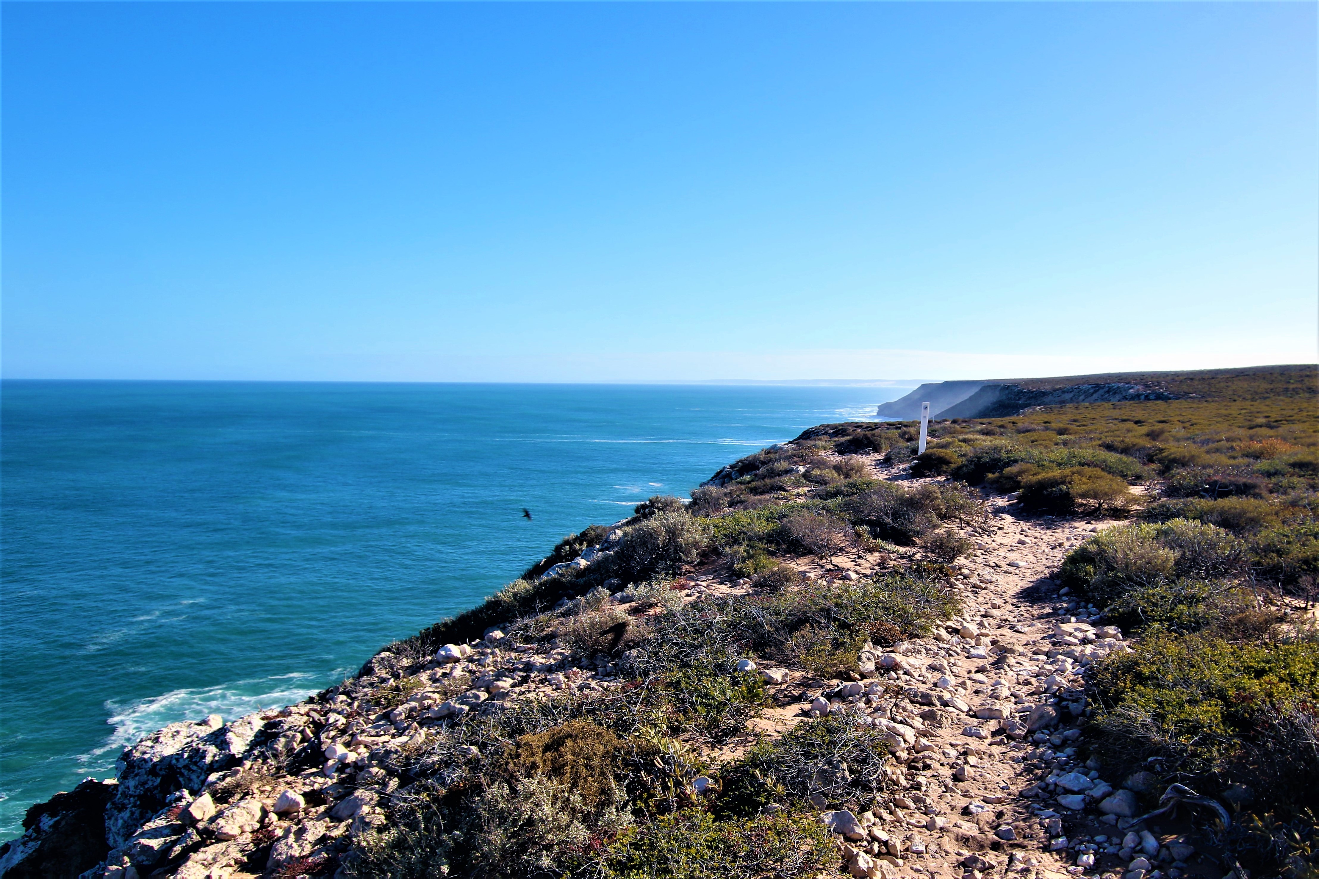 Bigurda Trail by Deborah Netolicky